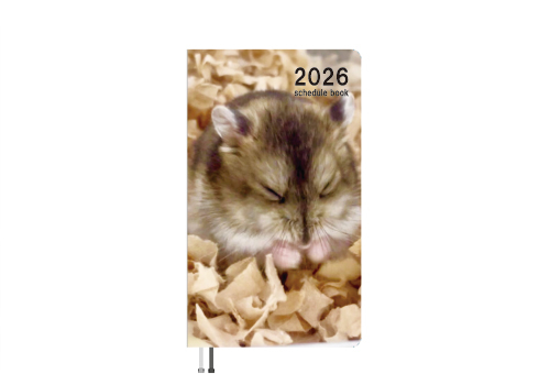 予約販売】 ハムスターちゃんねる 2026年 ポケットスケジュール帳