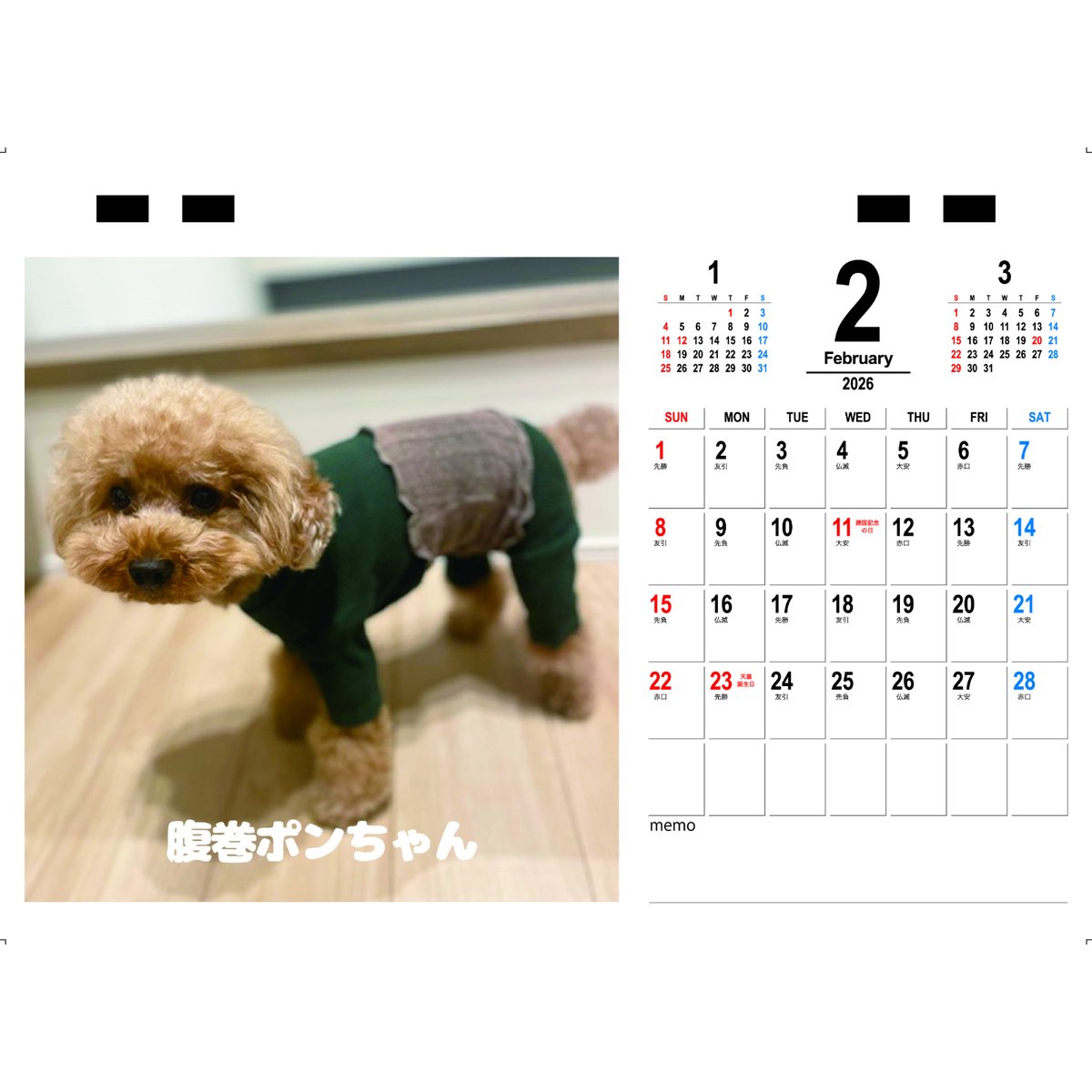 予約販売】 ワナワナポンちゃん トイプードル 犬 2026年 卓上半面