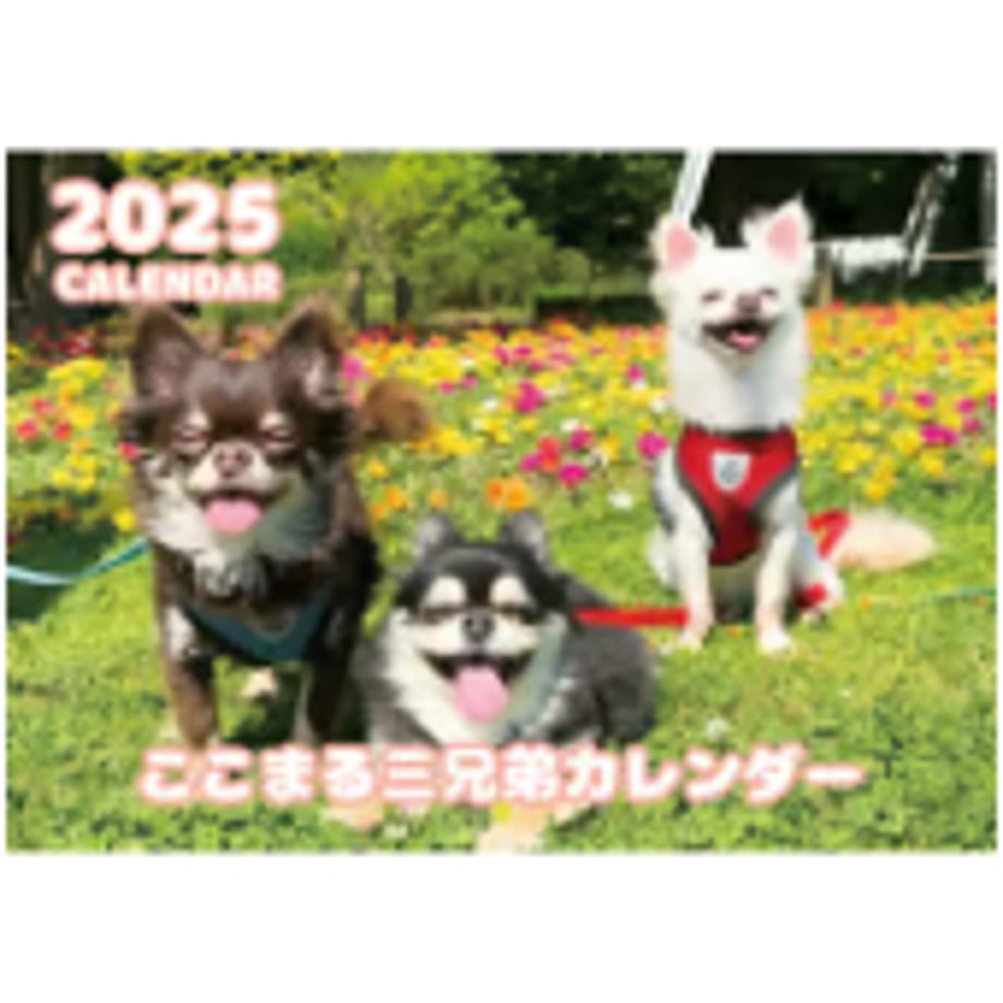 66dafedb9ecd340001a20575