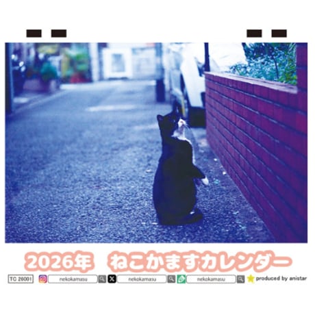 【予約販売】 ねこかます 猫 2026年 卓上 カレンダー TC26050