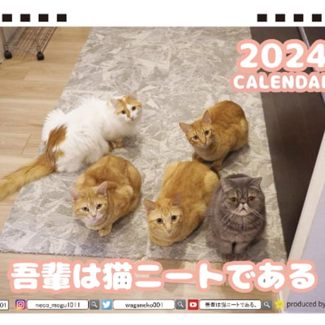 【予約販売】 吾輩は猫ニートである。 2024年 卓上 カレンダー TC24126