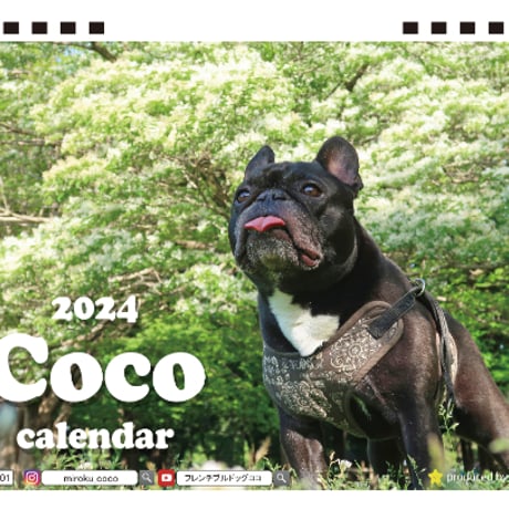【予約販売】 フレンチブルドッグ犬 ココ 2024年 卓上 カレンダー半面 TC24032
