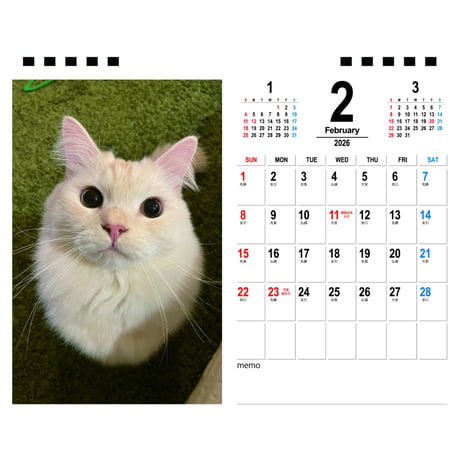 【予約販売】 猫のJuRaRua 2026年 卓上カレンダー TA26220