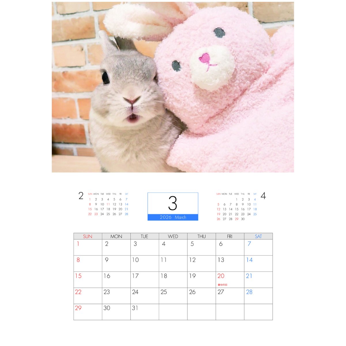 バラうさぎ 🐰 2025.10.21 ☁️ はらささver. 不機嫌なふたり😉 #ホーラン