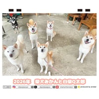 【予約販売】 柴犬みかん園ファミリー 2026年 卓上 カレンダー TC26327