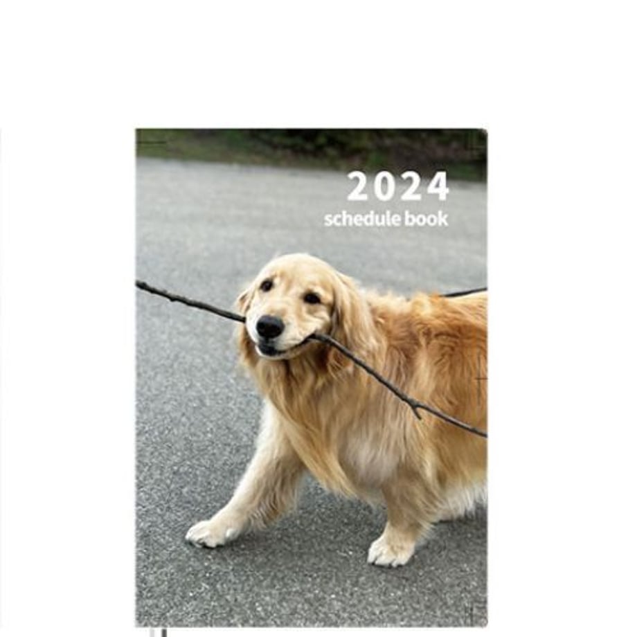 65287cfbddb4220001ededb4