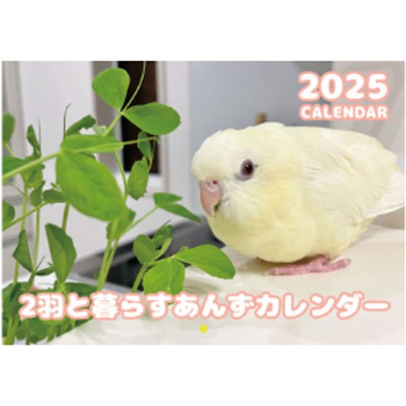 予約販売】 インコ 2羽と暮らすあんずちゃんねる 2025年 壁掛け