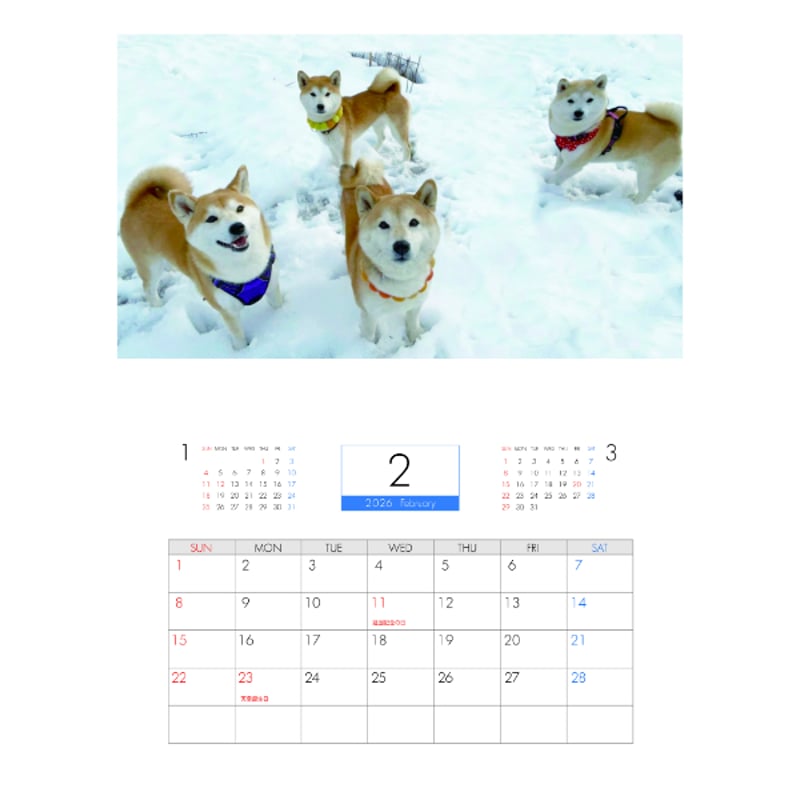 予約販売】 柴犬みかん園ファミリー 2026年 壁掛け カレンダー KA26326