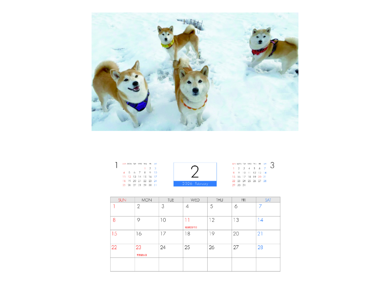 予約販売】 柴犬みかん園ファミリー 2026年 壁掛け カレンダー KA26326