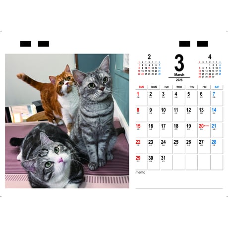【予約販売】 パンちゃんファミリー 猫 2026年 卓上カレンダー TC26164