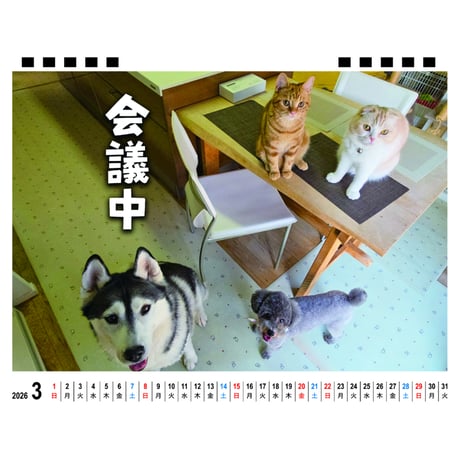 【予約販売】 犬と猫の親バカ日記 2026年 卓上カレンダー TA26209