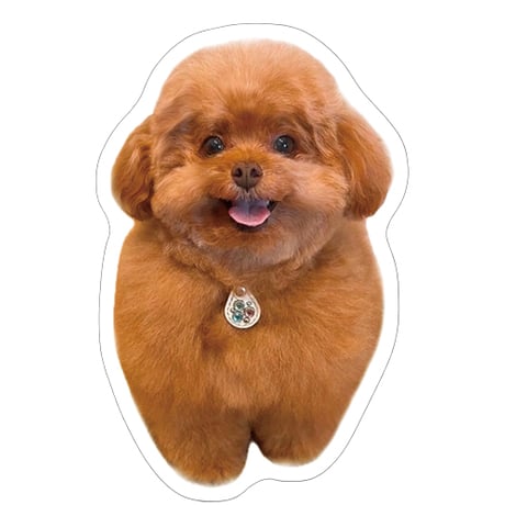 【予約販売】 もっちゃん トイプードル 犬 ステッカー 3枚セット SU010NN