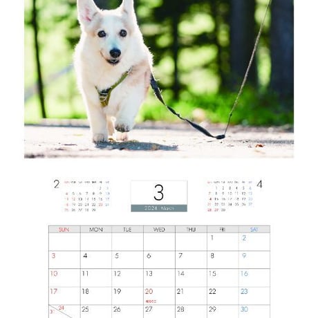 【予約販売】 コーギー犬 ノエル 2024年 壁掛け カレンダー KK24293