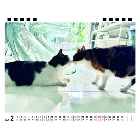 【予約販売】 リュックと愉快な仲間たち 猫 2026年 卓上 カレンダー TA26338