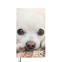 【予約販売】 ちわわん生活 チワワ 犬 2026年 ポケットスケジュール帳 PO26143