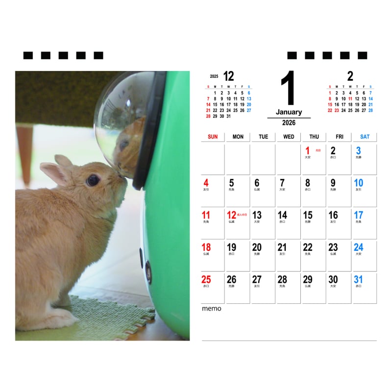 予約販売】 うさぎの毎日がかんぺい 2026年 卓上 カレンダー TA26004