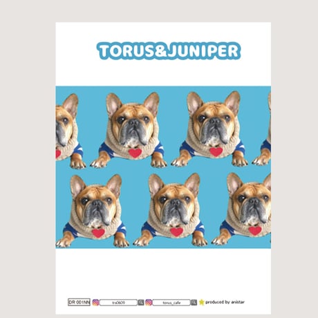 【予約販売】 フレンチブルドッグ torus トーラス 犬 日記帳 DR001NN