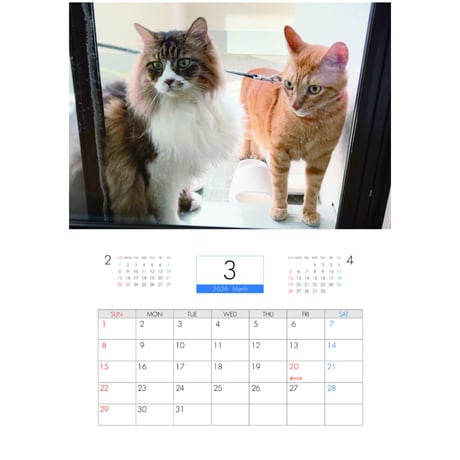【予約販売】 猫のにゃろめっこ 2026年 壁掛けカレンダー KA26155