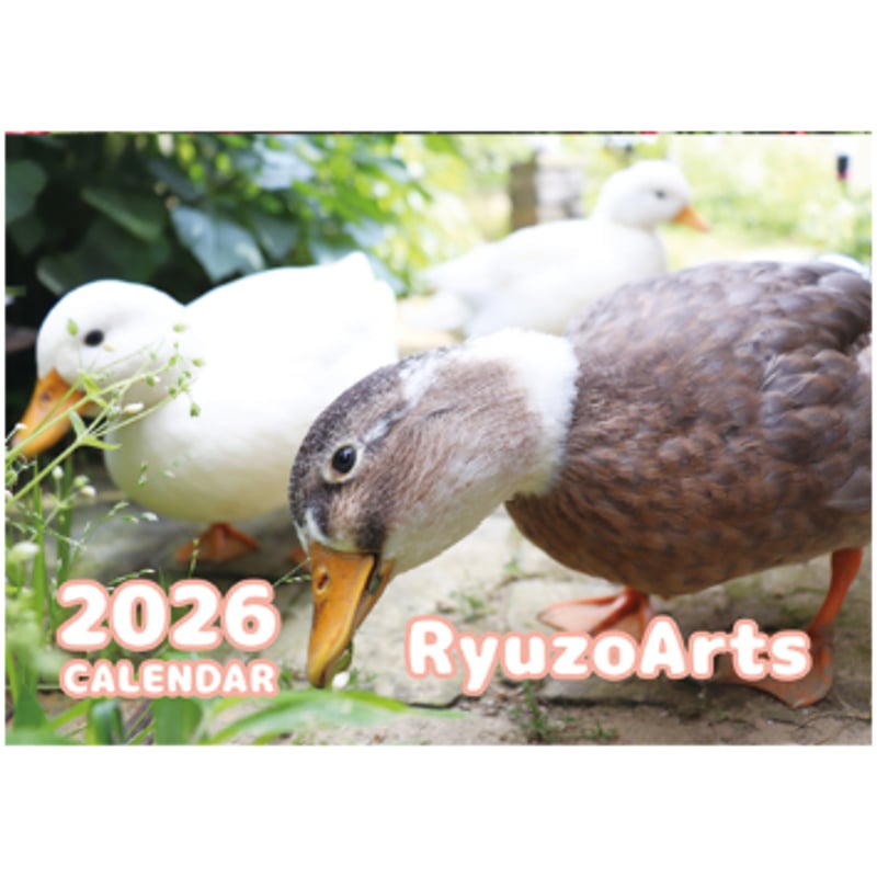 予約販売】 Ryuzo Arts アヒル 2026年 壁掛けカレンダー KK26099 |