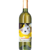 【予約販売】 ねこかます 2025年 白ワイン 720ml WW25109