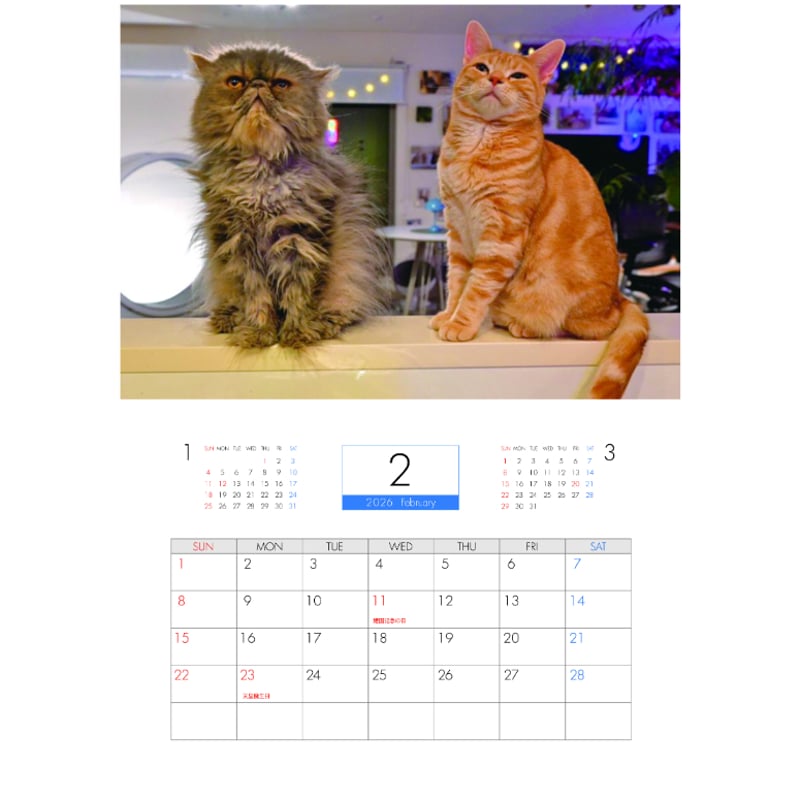 猫先輩　リピート割 予約販売】 吾輩は猫ニートである。 2026年 壁掛け カレンダー KA26347