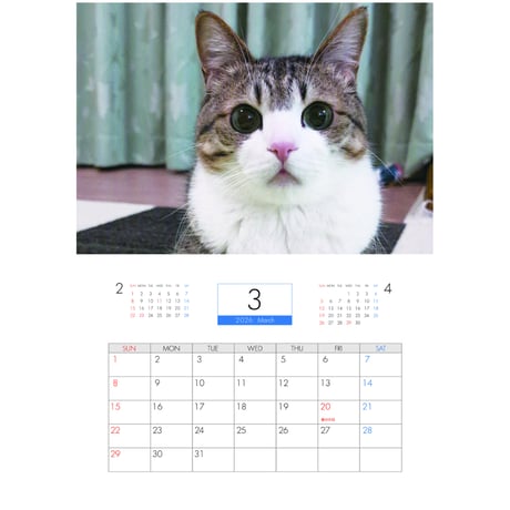 【予約販売】 すずめ＆うなぎ 猫 2026年 壁掛けカレンダー KA26091