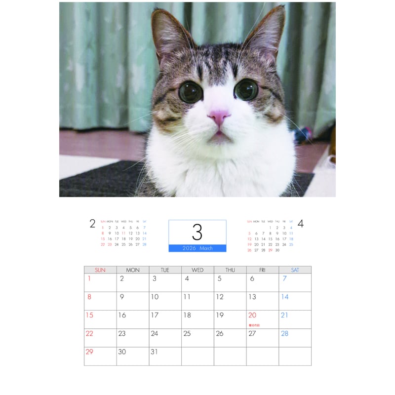 予約販売】 すずめ＆うなぎ 猫 2026年 壁掛けカレンダー KA26091 | ANISTAR