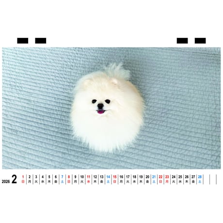 【予約販売】 ポテチ 犬 猫のレモンと犬のポテチちゃんねる 2026年 卓上 カレンダー TC26307