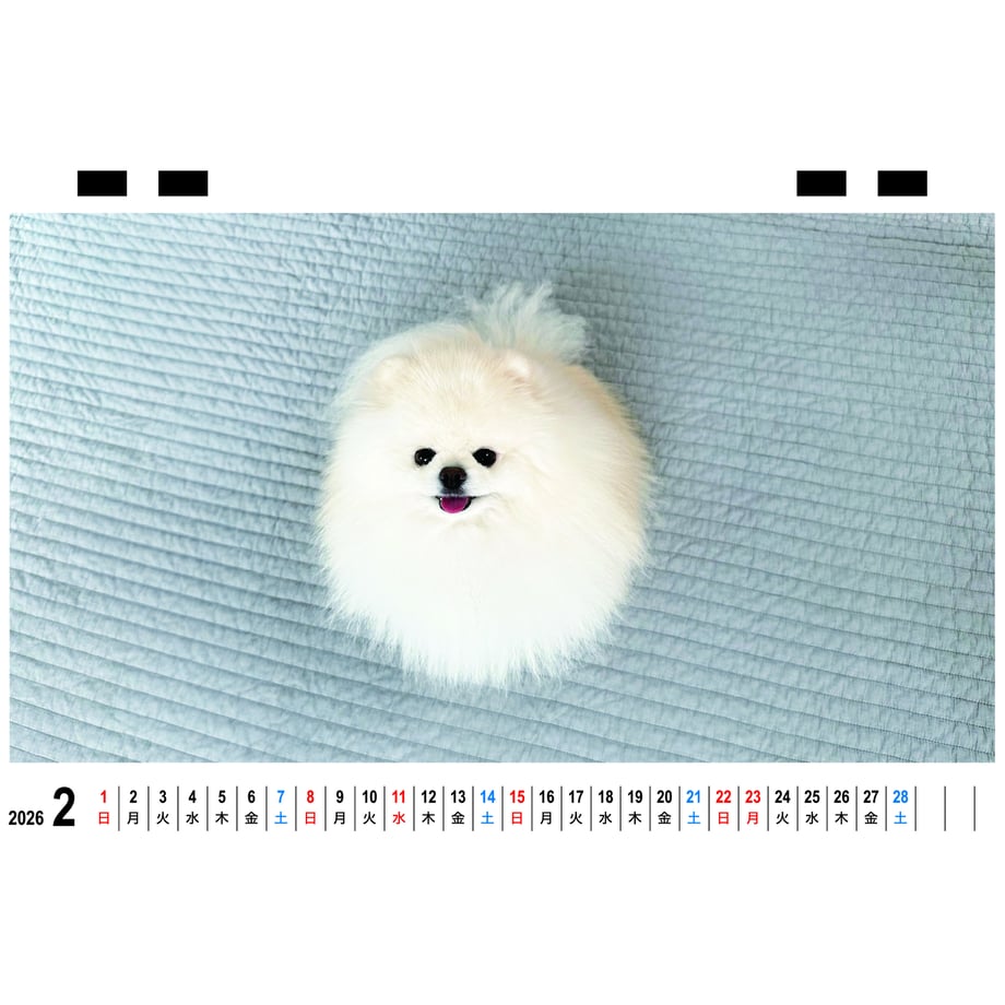 68e9a4640662f239be2a20b4