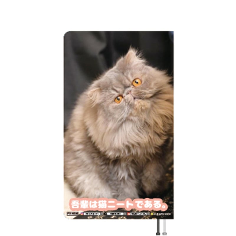 こはねこも 2402880_n.jpg