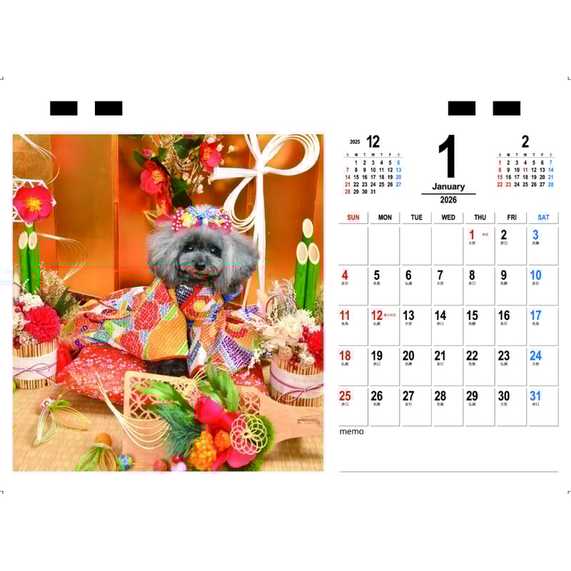 予約販売】 ココア トイプードル 犬 2026年 卓上半面 カレンダー