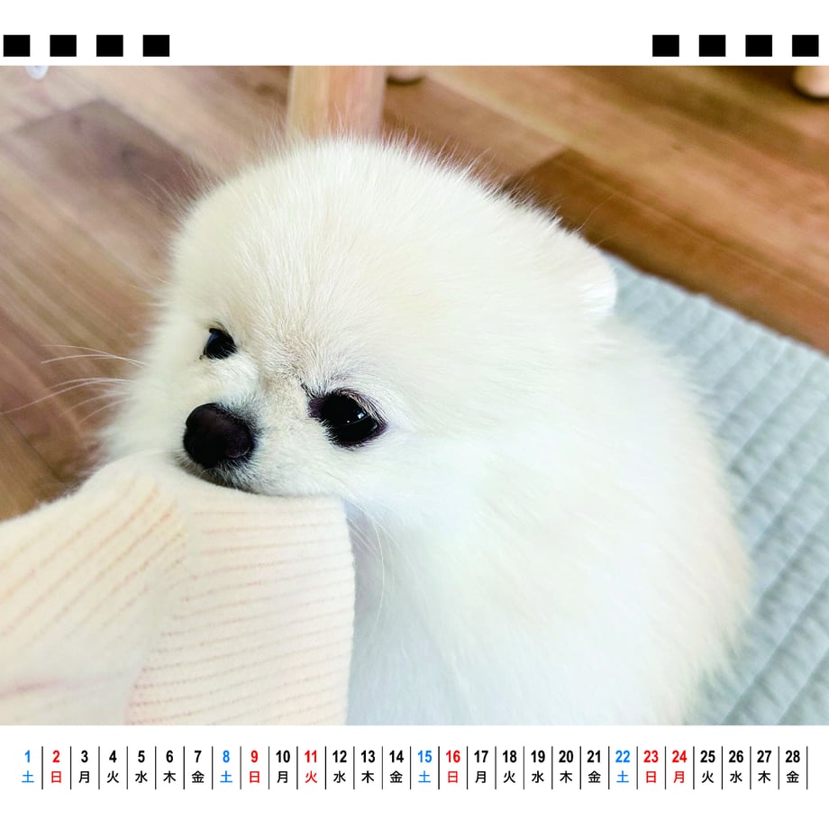 66f666194961f50001035728