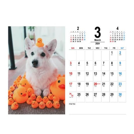 【予約販売】 コーギー犬 ノエル 2024年 卓上 カレンダー TC24295