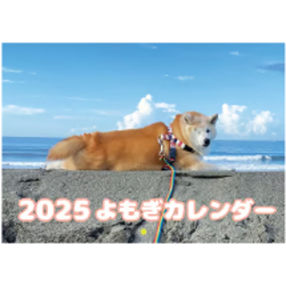 66dafef29ecd340001a20584