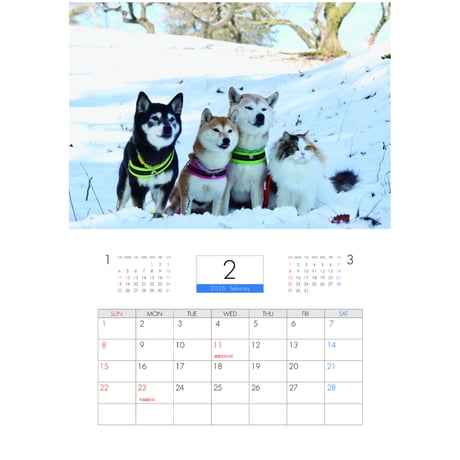 【予約販売】 柴犬 モカ＆アン＆サラ 2026年 壁掛けカレンダー KA26082