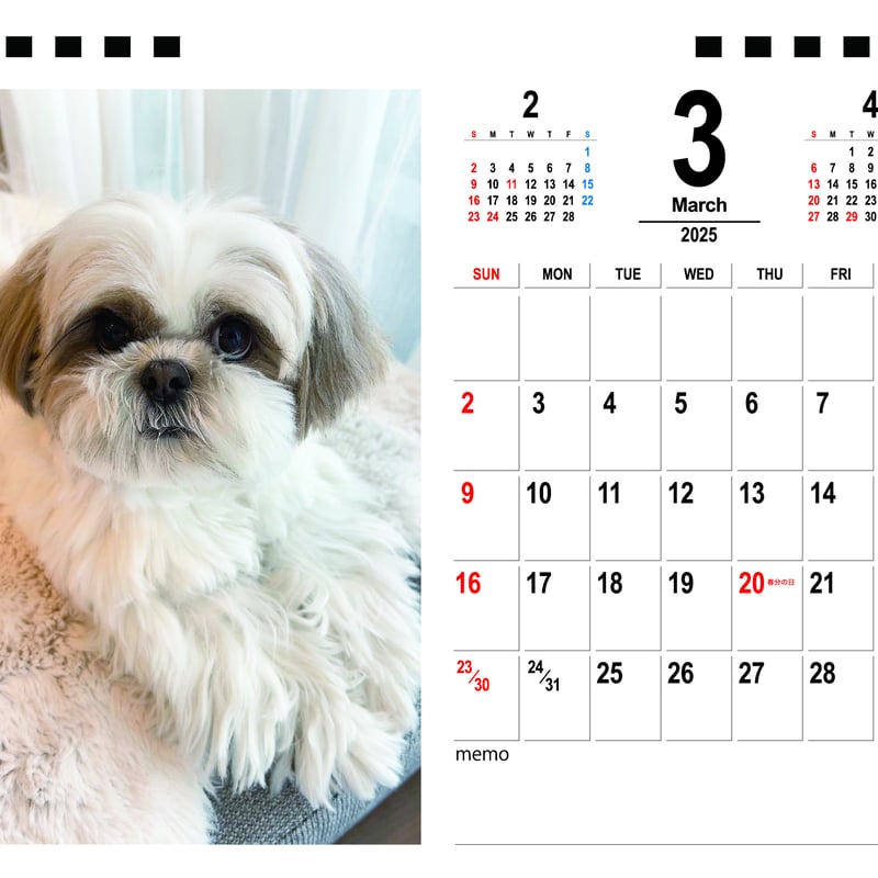 オーダー受付 シーズー ご予約ページ レアパネル 8/19 オーダー受付