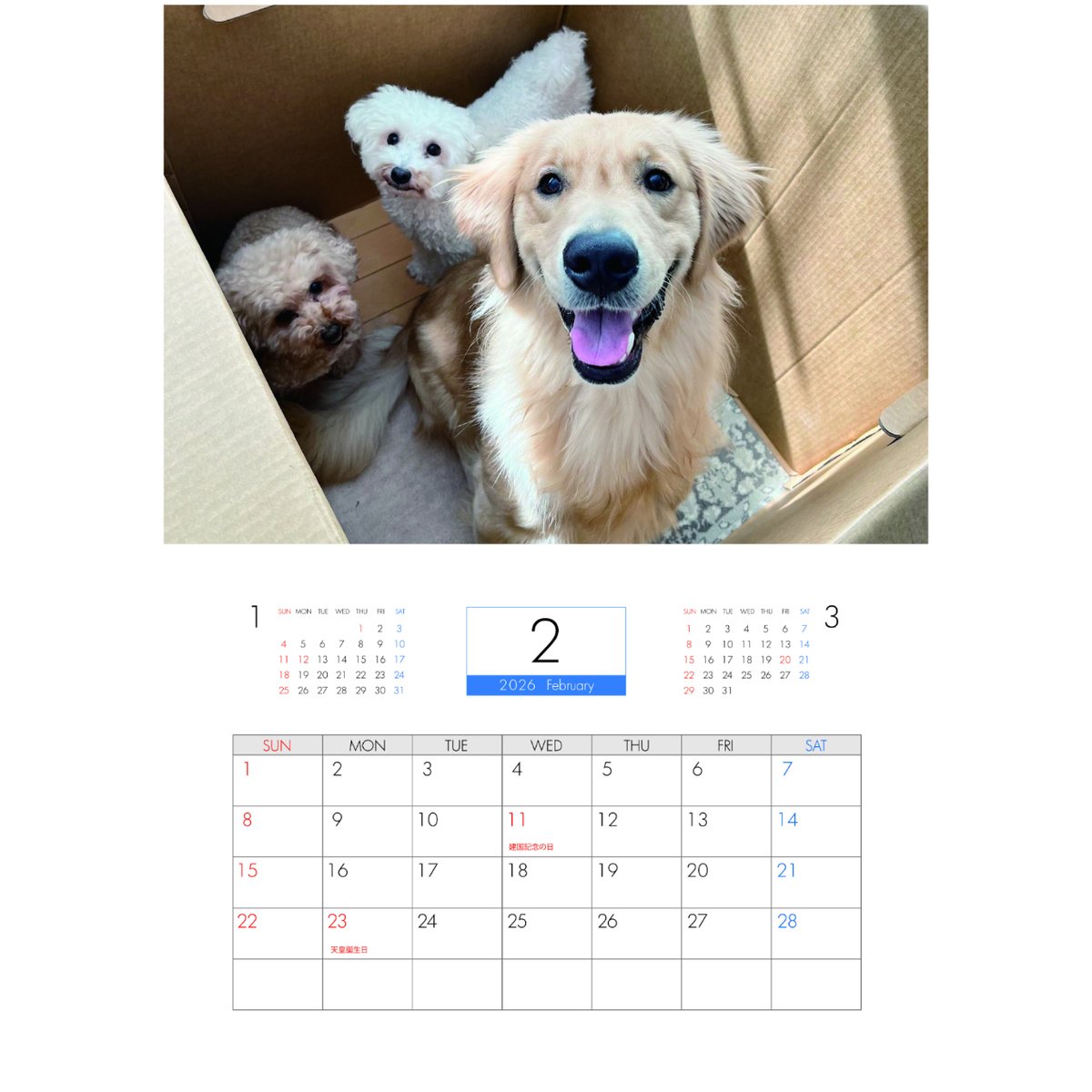 予約販売】 いちご&ミルク＆ぷりん 犬 2026年 壁掛けカレンダー