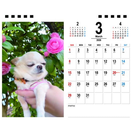 【予約販売】 チワワのクリム 犬 2026年 卓上カレンダー TA26226