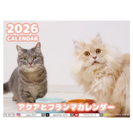 【予約販売】 アクアとフランマ 猫 2026年 卓上カレンダー TA26113