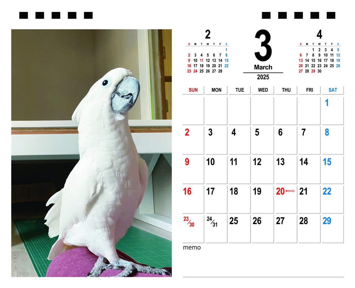 ダイタク カレンダー ダイタク カレンダー ダイタク カレンダー 製品情報 | 株式会社