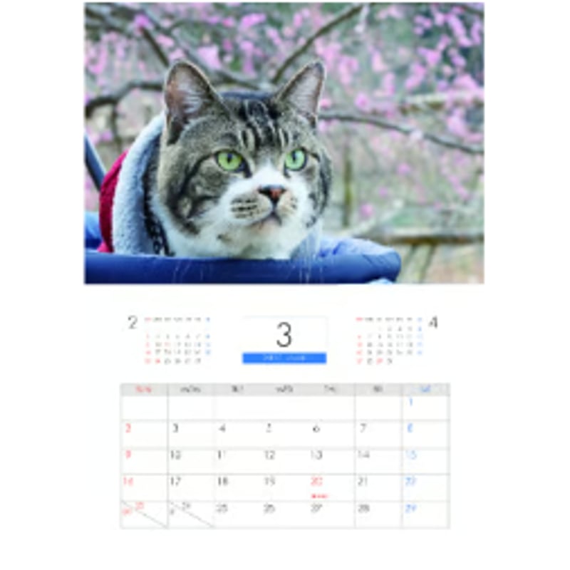 ペインターネット ソフビ Painternet 猫 （希少） Yahoo