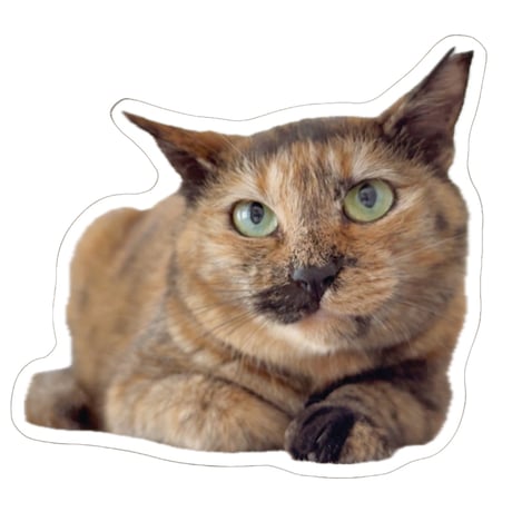 【予約販売】 猫のウルン＆リコリン シール 5枚セット SE021NN