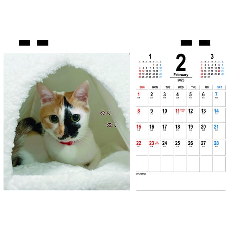 【予約販売】 きらら＆れもん＆ララ＆＆モモ 猫 2026年 卓上カレンダー TC26229