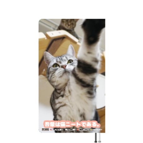 【予約販売】 吾輩は猫ニートである。 くう 2026年 ポケットスケジュール帳 PO26352