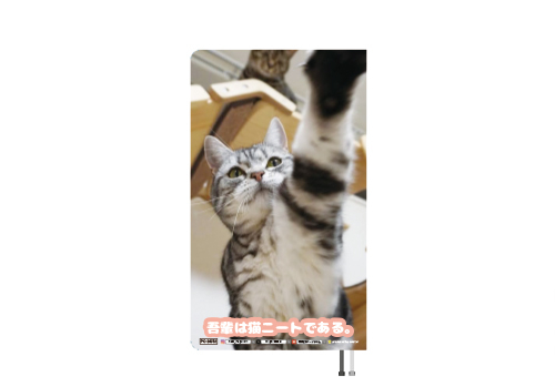 猫先輩 猫先輩 猫先輩 猫先輩 カード検索 ｜ Z/X - Zillions of enemy X