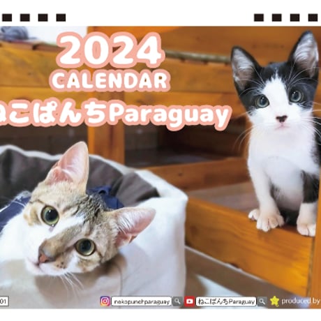 【予約販売】 猫のねこぱんち Paraguay 2024年 卓上 カレンダー TC24225