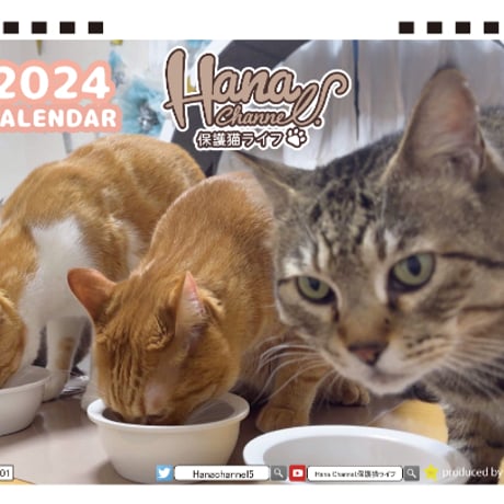 【予約販売】 Hana Channel 保護猫ライフ 2024年 卓上 カレンダー TC24152