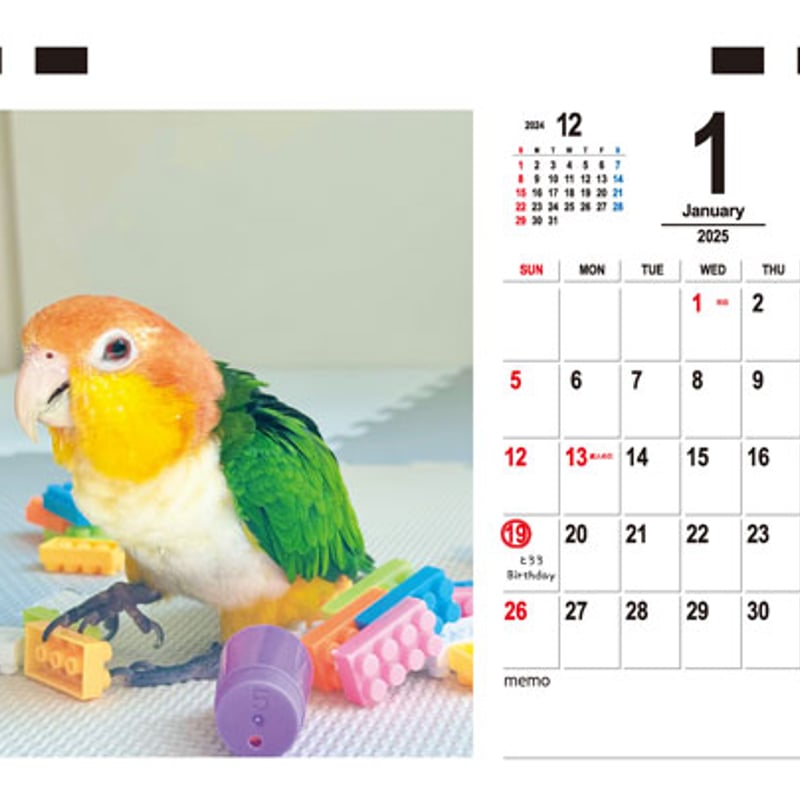予約販売】 インコ 2羽と暮らすあんずちゃんねる 2025年 ECO卓上
