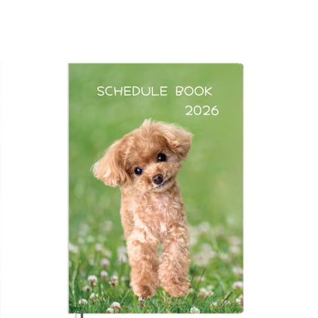 CATEGORY コロン | ANISTAR