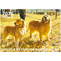 【予約販売】 コメ&イクラ ゴールデンレトリバー 犬 2026年 壁掛け カレンダー KK26285